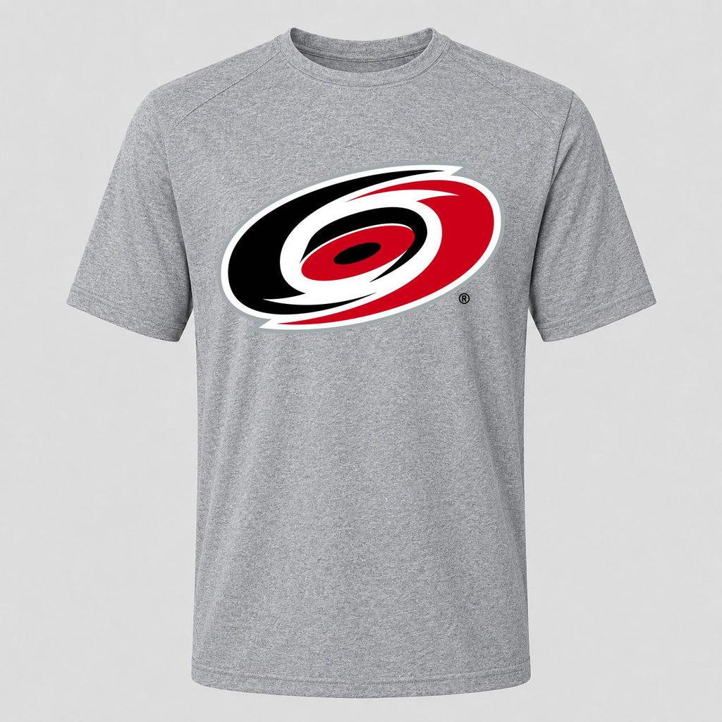 Men's Carolina Hurricanes Performance T-Shirt - Gray