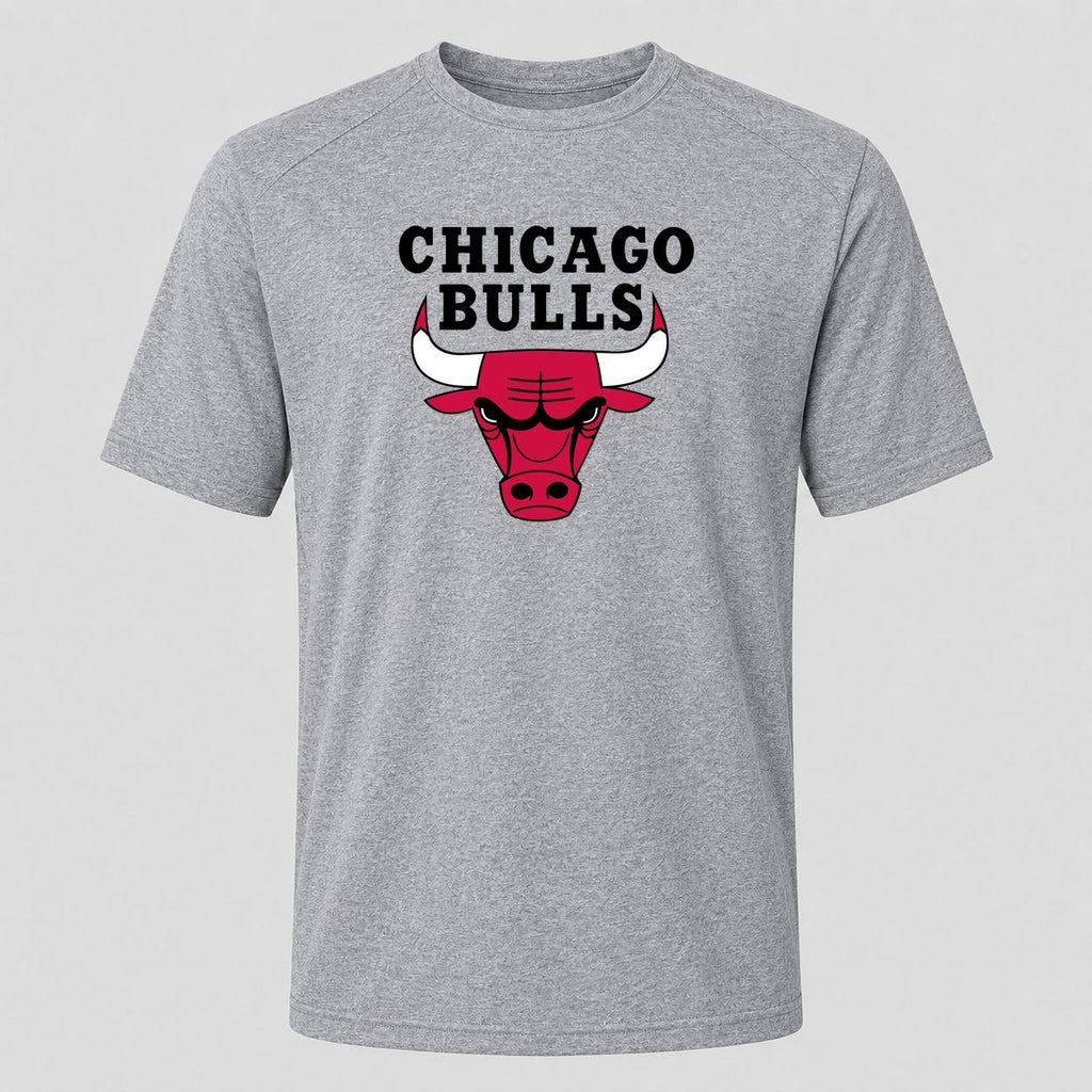 Men's Chicago Bulls Black Performance T-Shirt - Gray