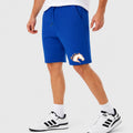 Men's Texas Arlington Mavericks Logo Cotton Shorts - Royal Blue