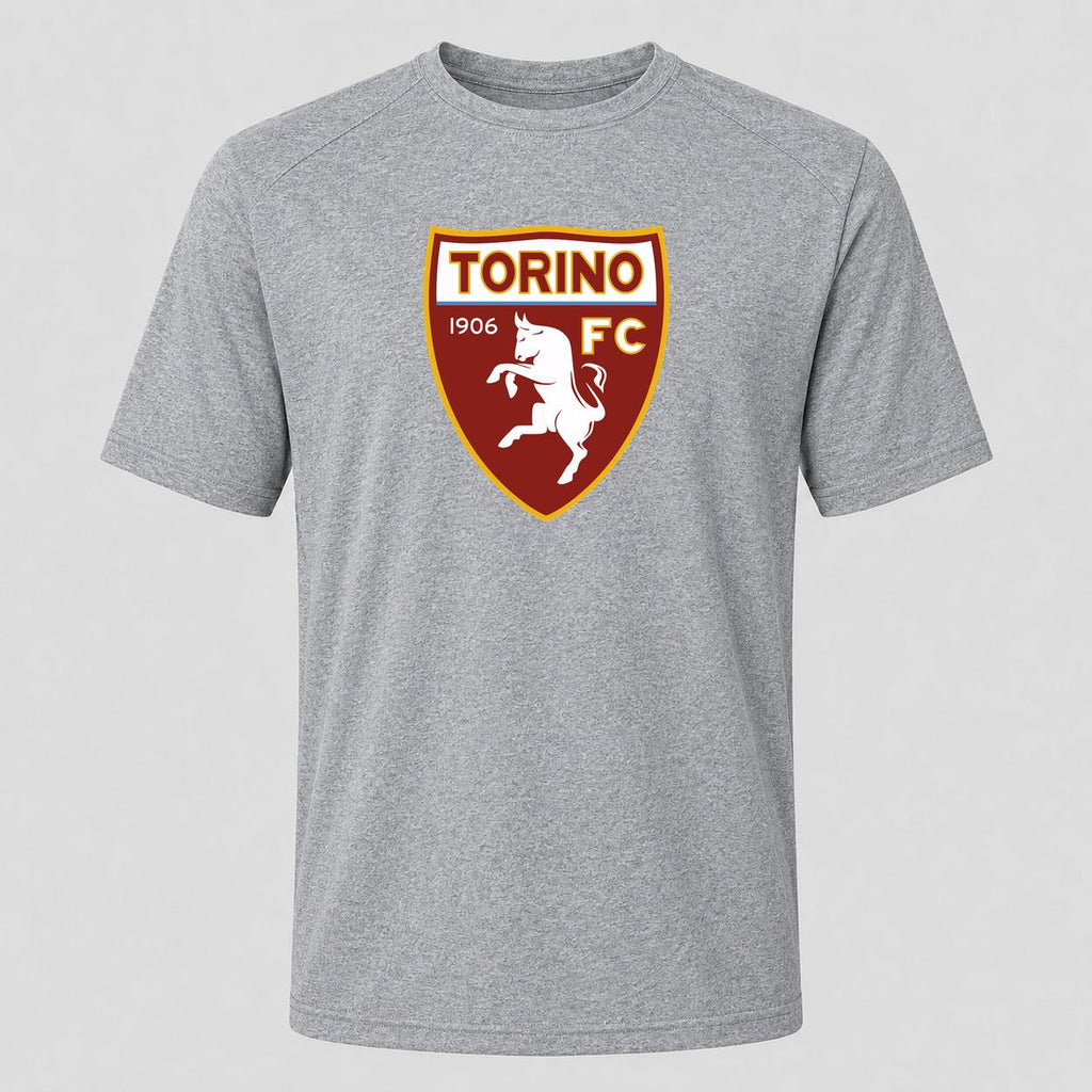 Men's Torino Soccer Performance T-Shirt - Gray