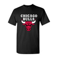Men's Chicago Bulls White Logo Cotton T-Shirt - Black