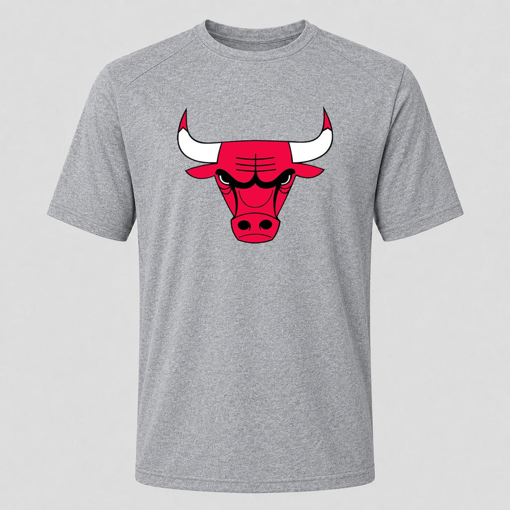 Men's Chicago Bulls Performance T-Shirt - Gray