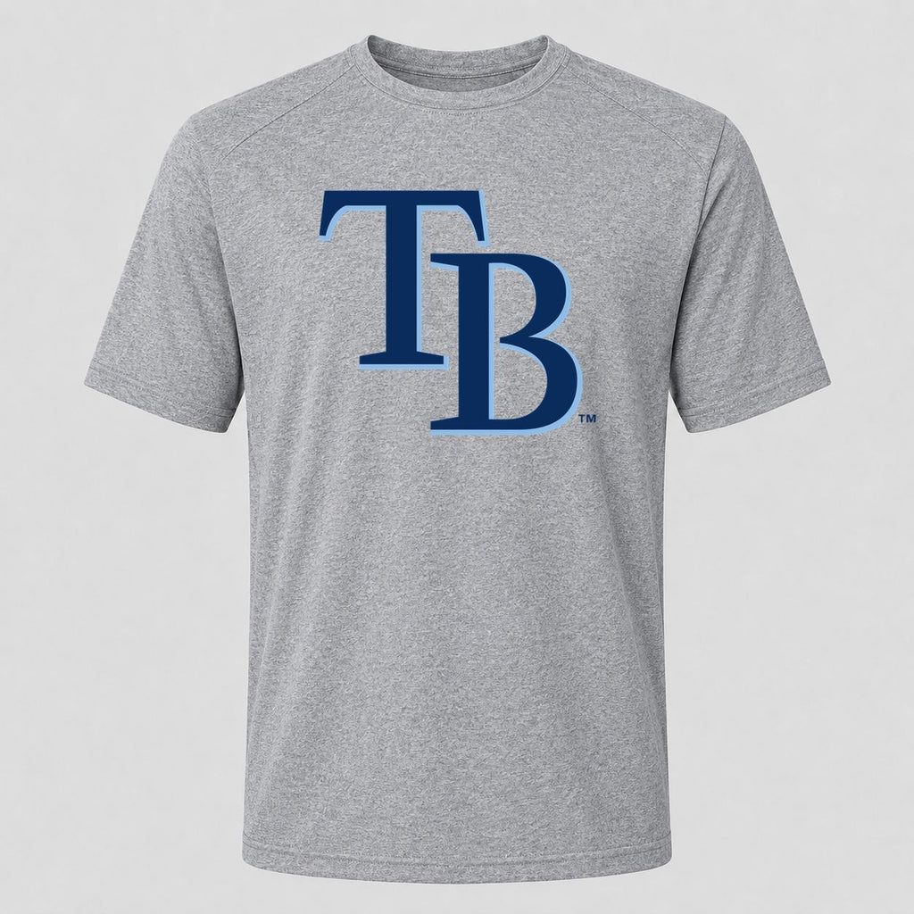 Men's Tampa Bay Rays Performance T-Shirt - Gray