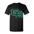 Men's Wisconsin Green Bay Phoenix Logo Cotton T-Shirt - Black