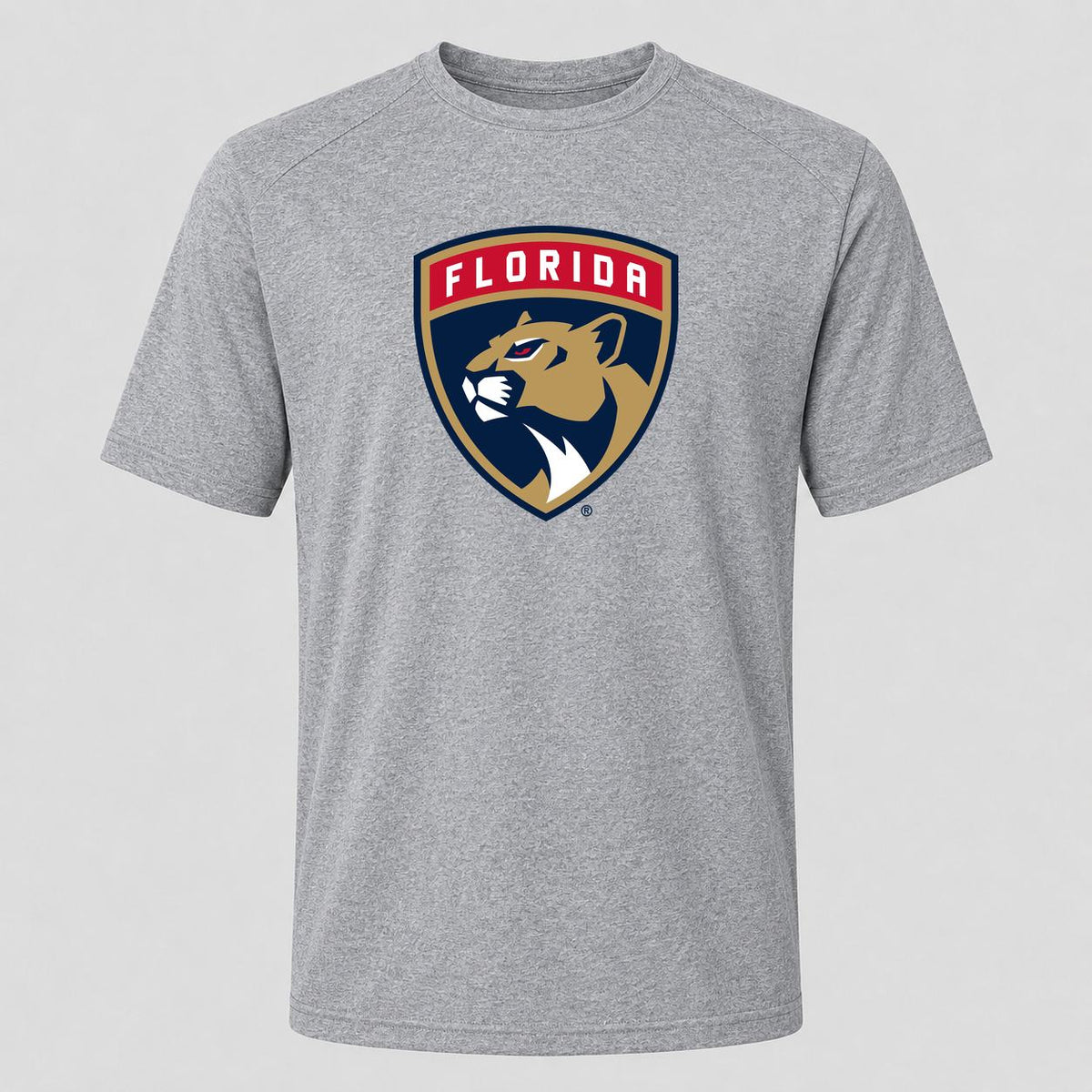 Men's Florida Panthers Performance T-Shirt - Gray