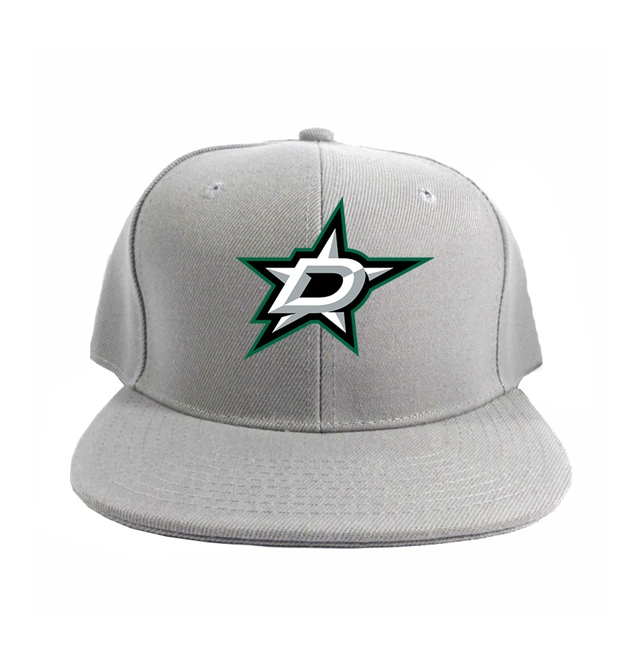 NHL - Dallas Stars Snapback Hat