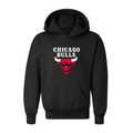 Youth  Chicago Bulls Pullover Hoodie