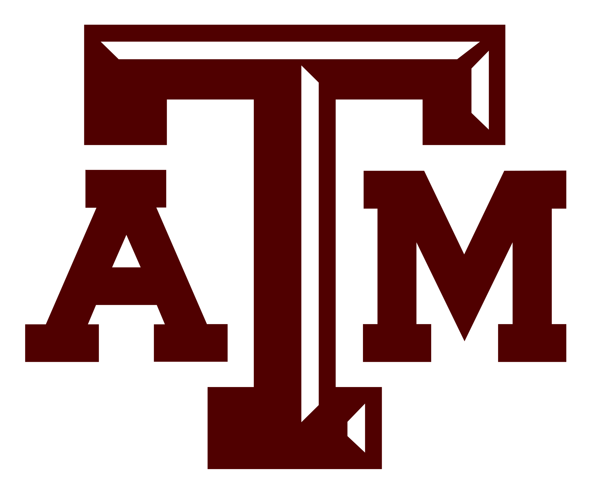 texas am university Beanie Hat