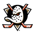 Anaheim Ducks Beanie Hat