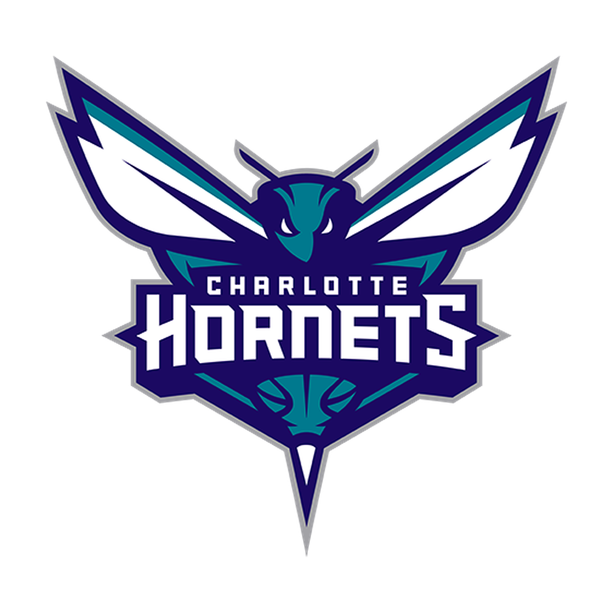 Charlotte Hornets Beanie Hat