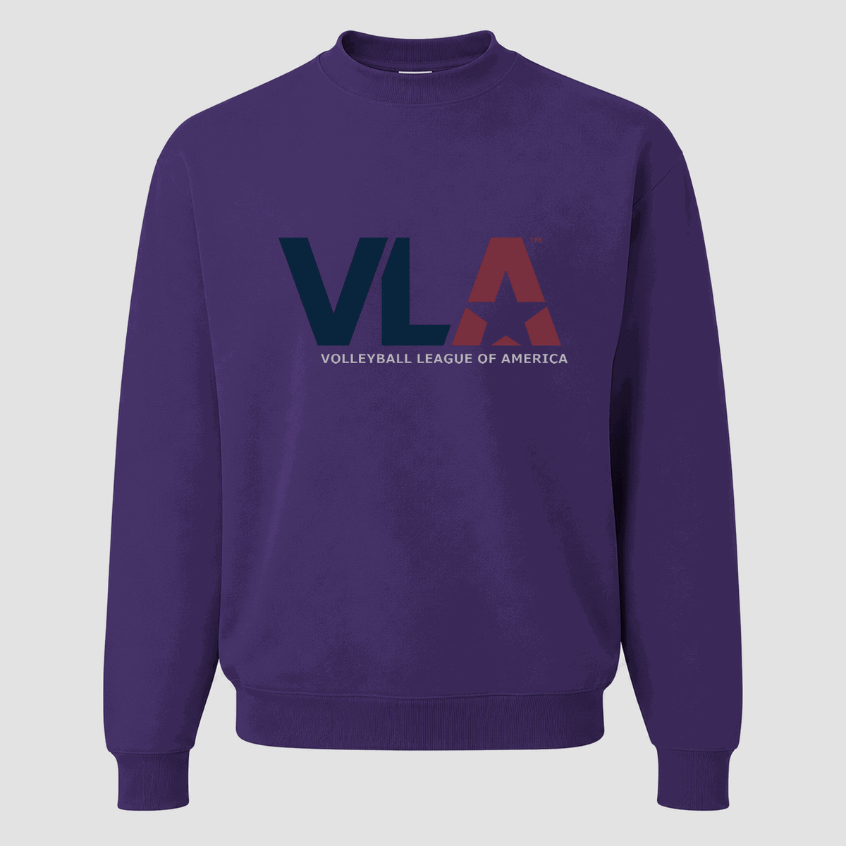 Men's American Volleyball League Crewneck Sweatshirt - Purple