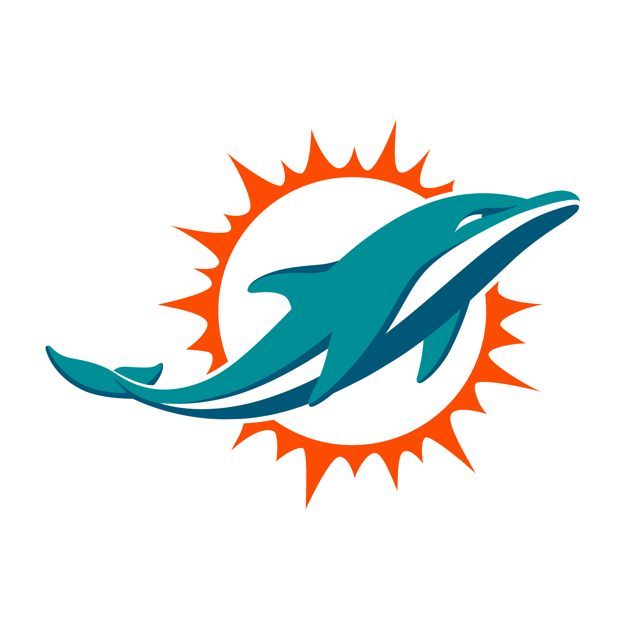 Miami Dolphins Beanie Hat