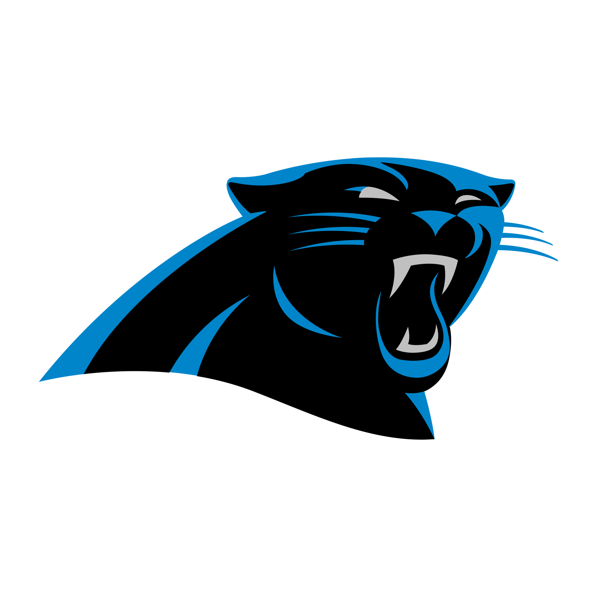 Carolina Panthers Beanie Hat