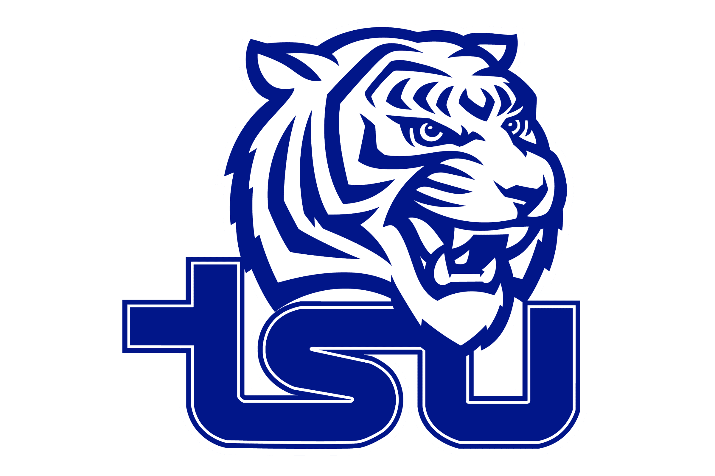 Tennessee State Tigers Beanie Hat