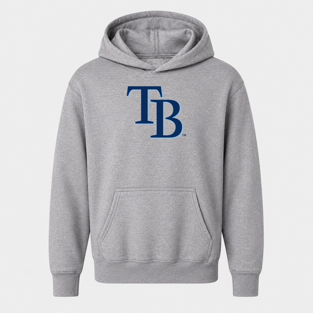 Youth Tampa Bay Rays Pullover Hoodie - Gray