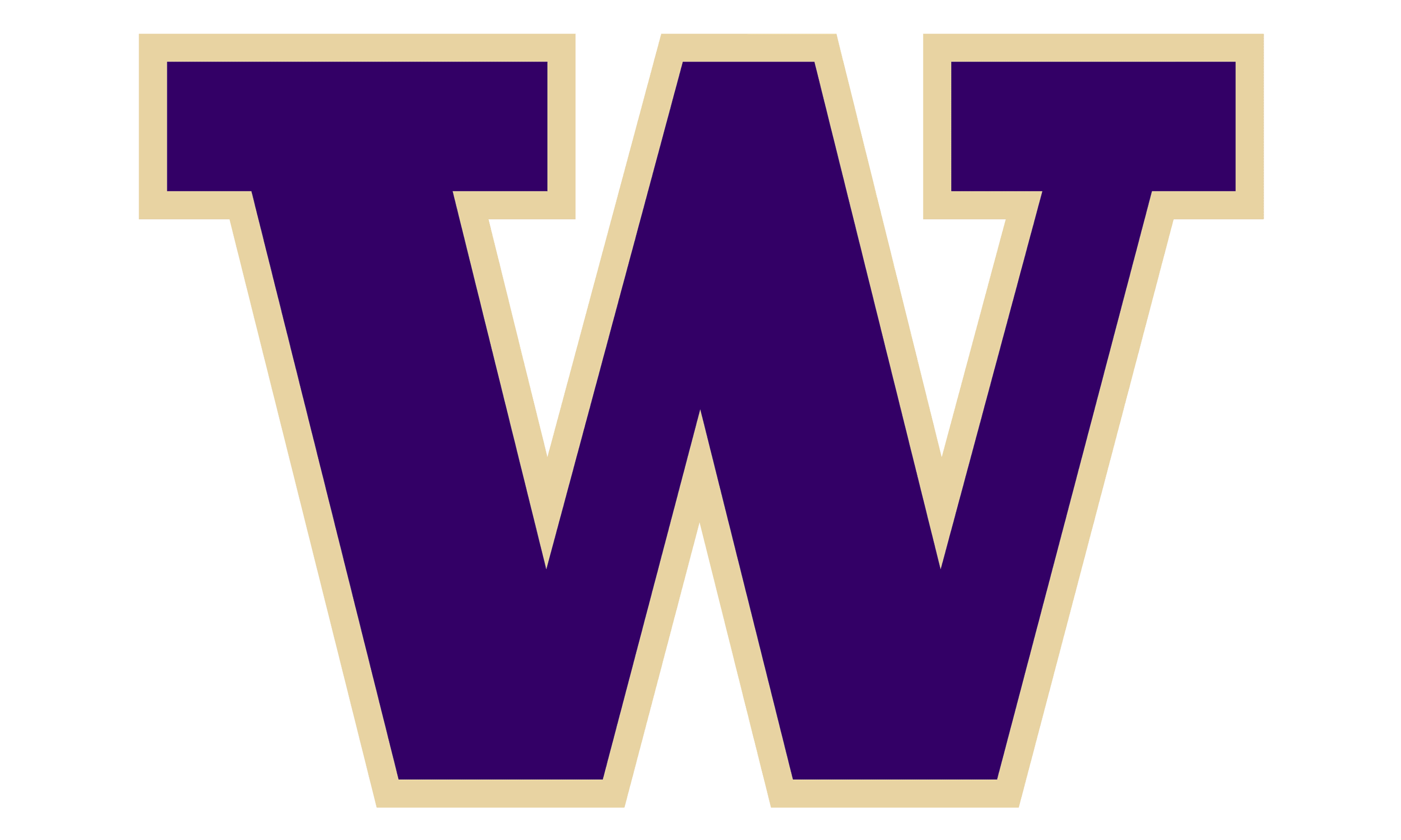 Washington Huskies Beanie Hat