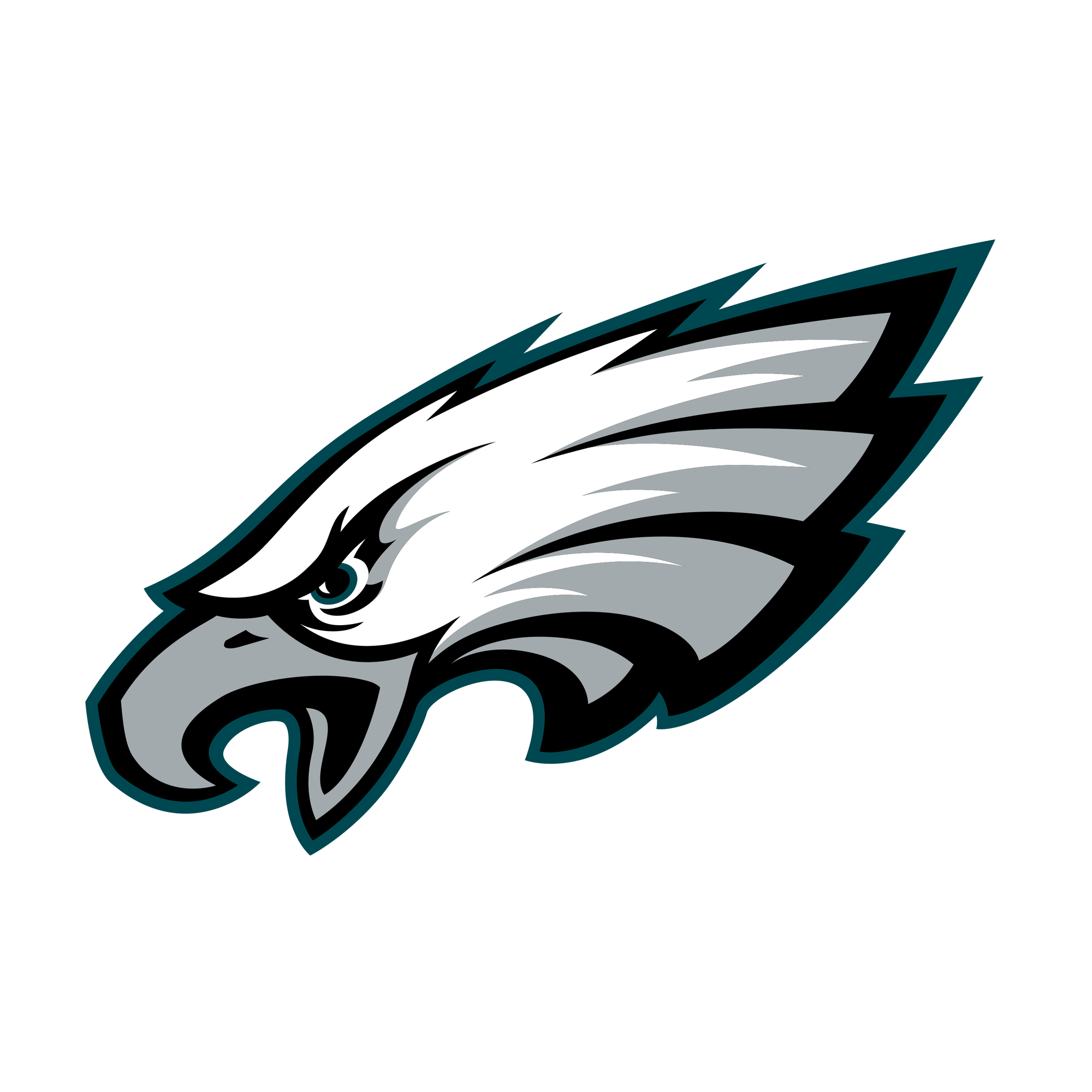 Philadelphia Eagles Beanie Hat