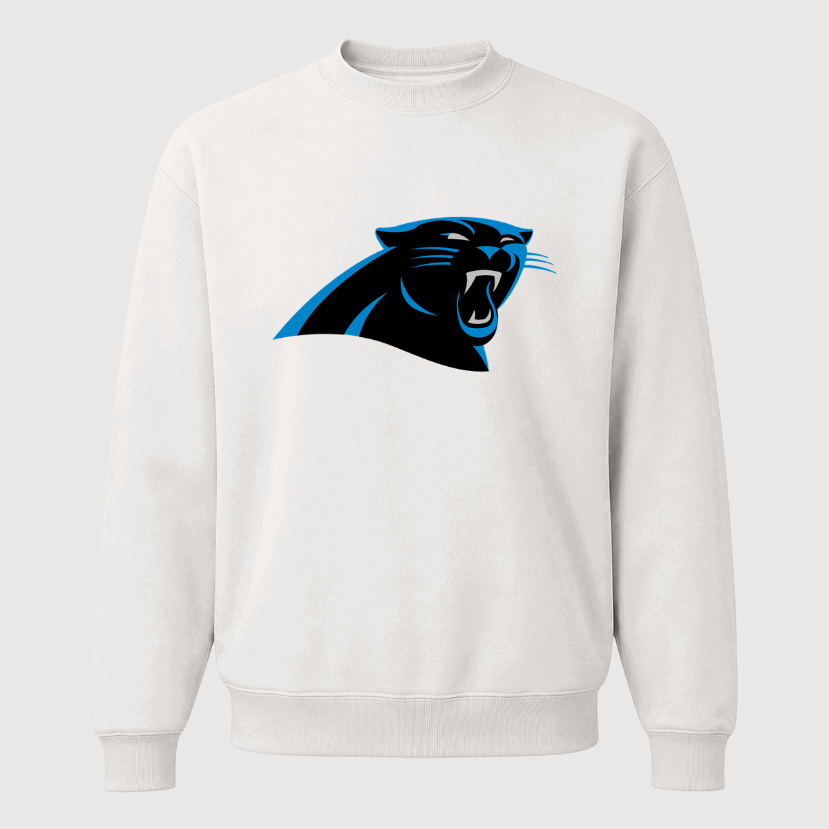 Men's Carolina Panthers Crewneck Sweatshirt - White