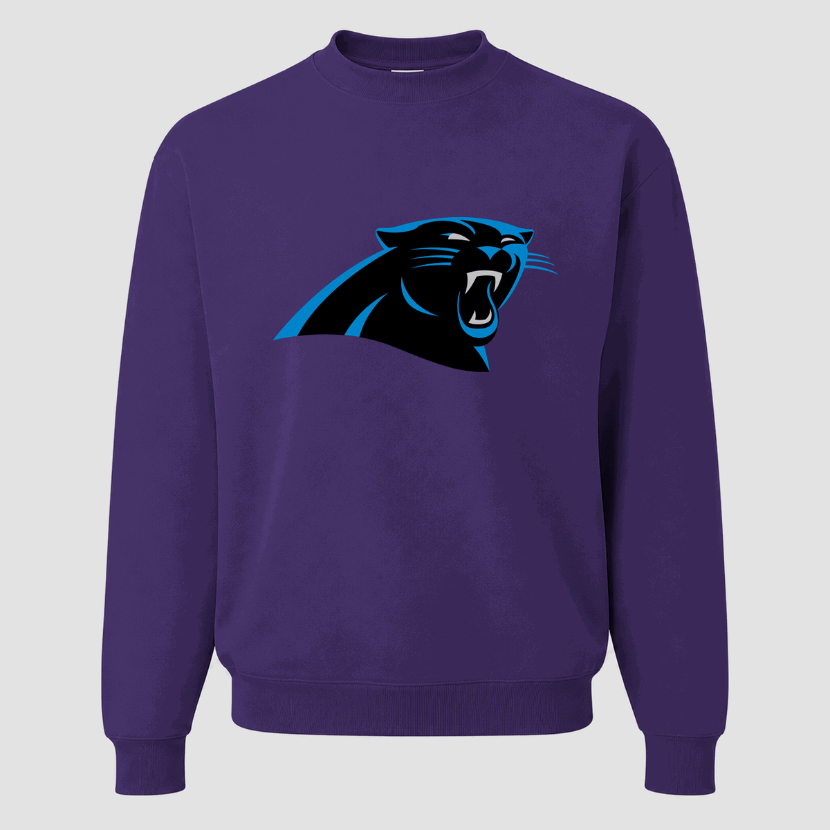 Men's Carolina Panthers Crewneck Sweatshirt - Purple