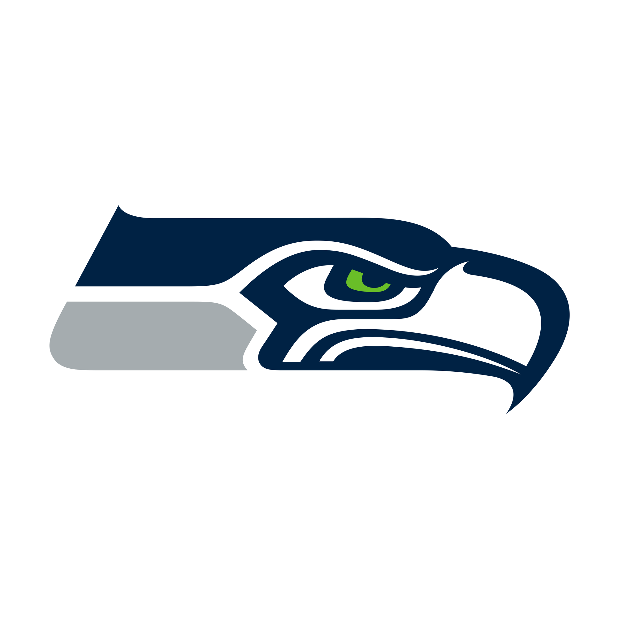 Seattle Seahawks Beanie Hat