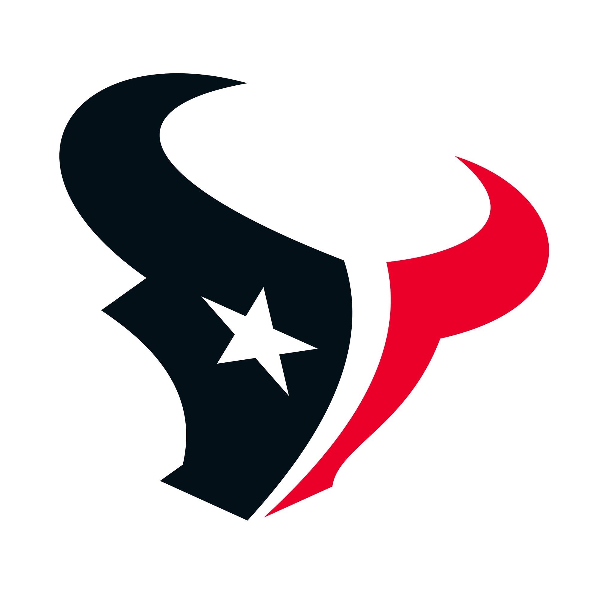 Houston Texans Beanie Hat