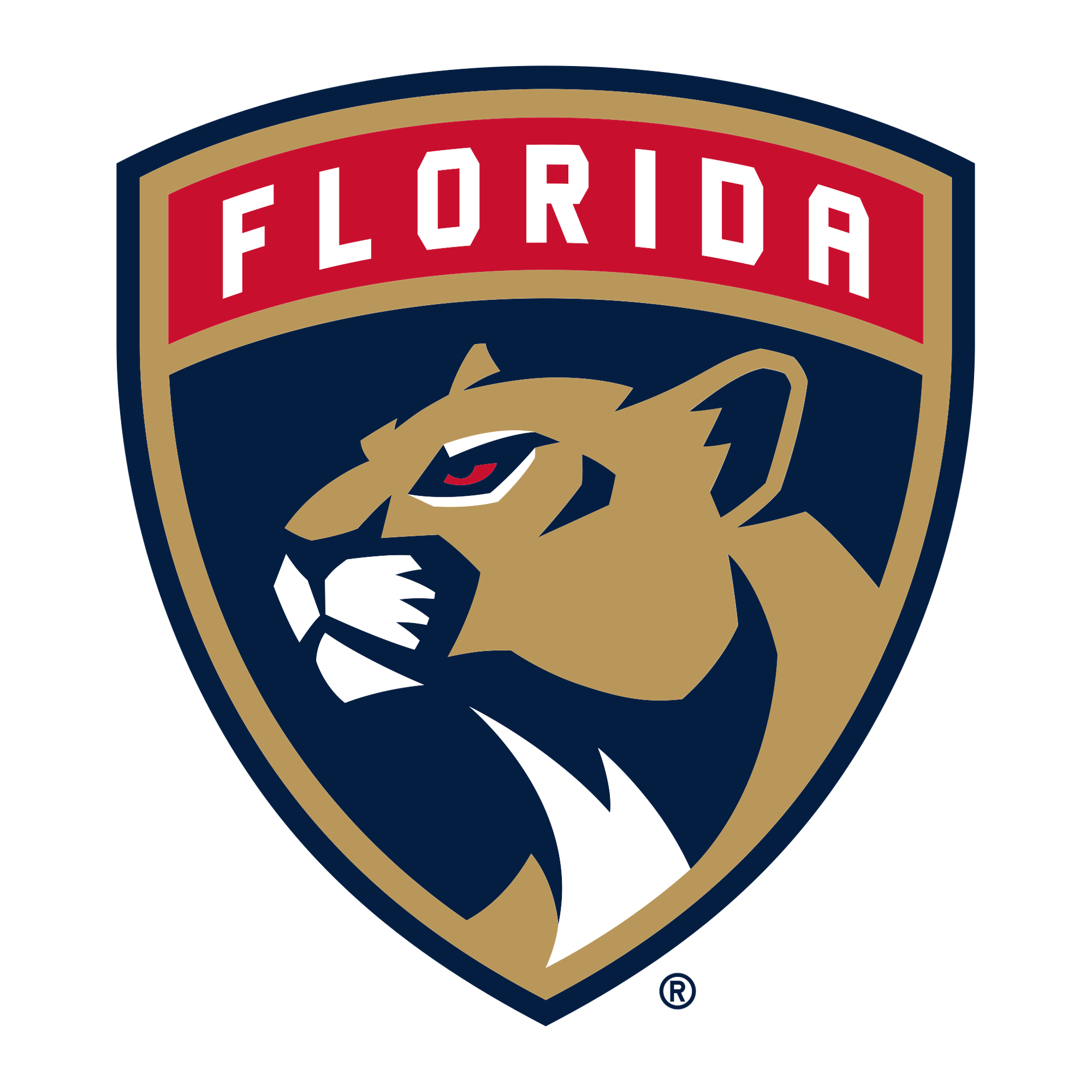 Florida Panthers Beanie Hat