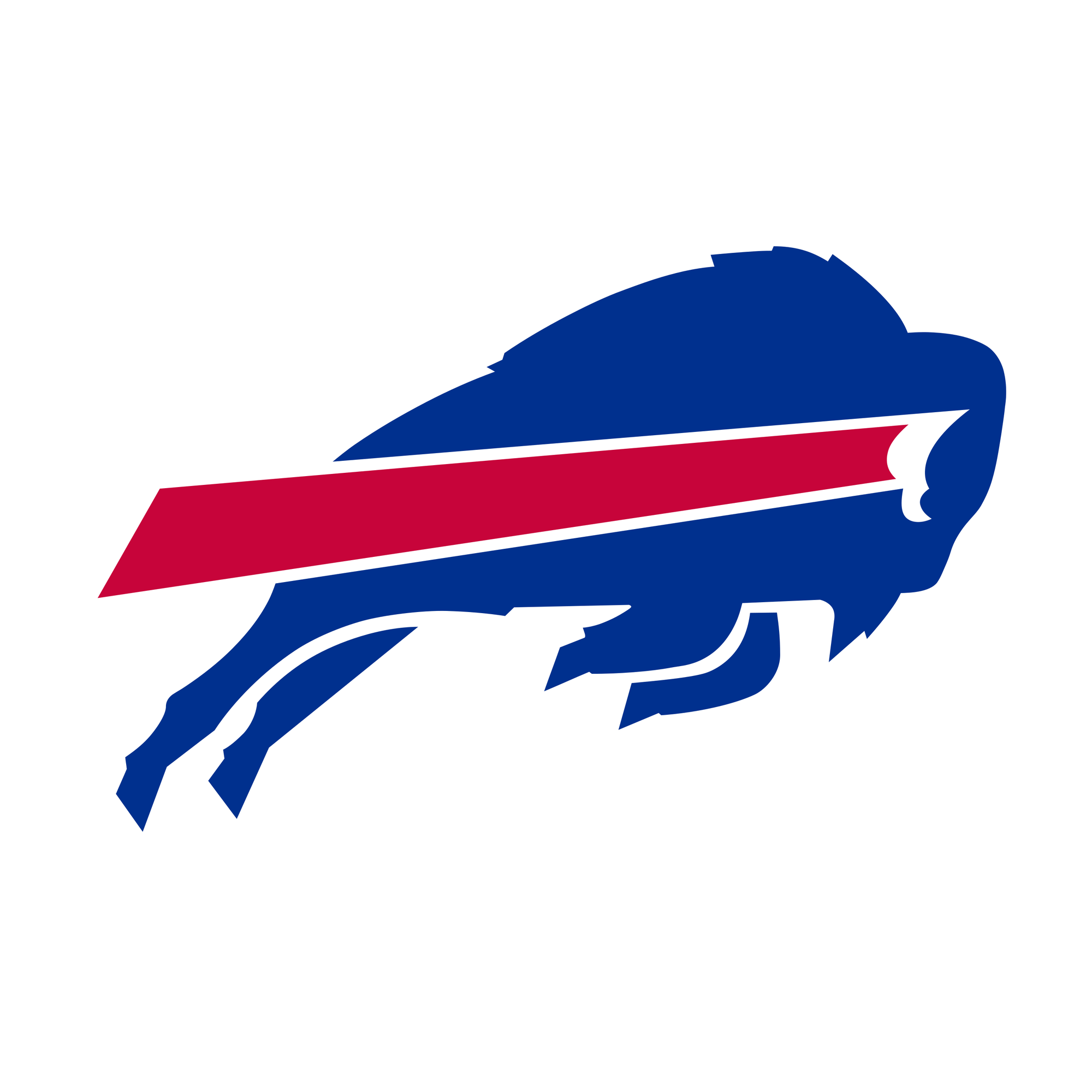 Buffalo Bills Beanie Hat