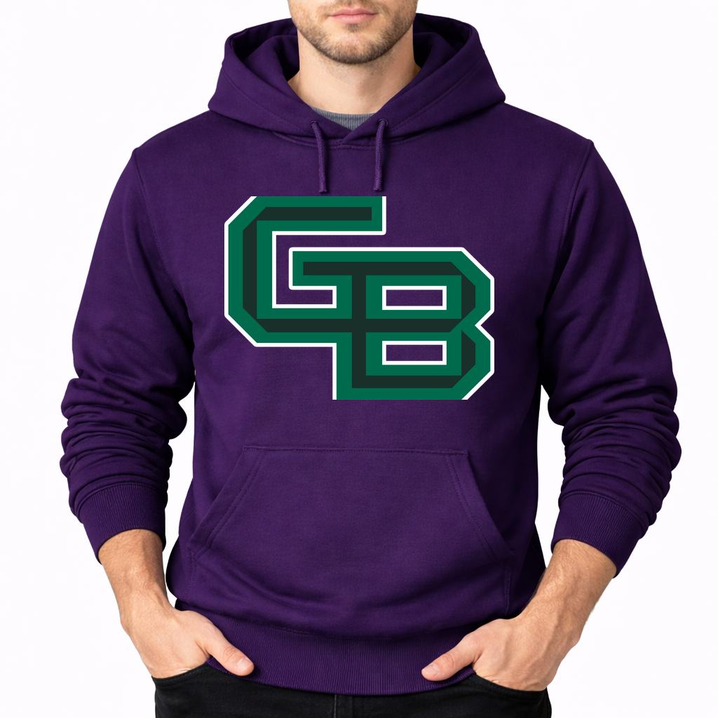 Men's Wisconsin Green Bay Phoenix Pullover Hoodie - Purple