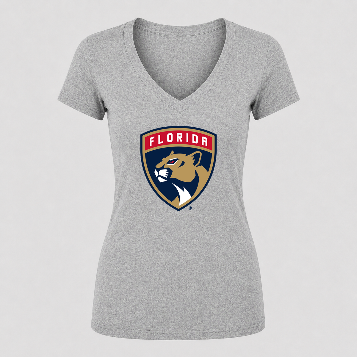 Women's Florida Panthers V Neck T-Shirt in gray