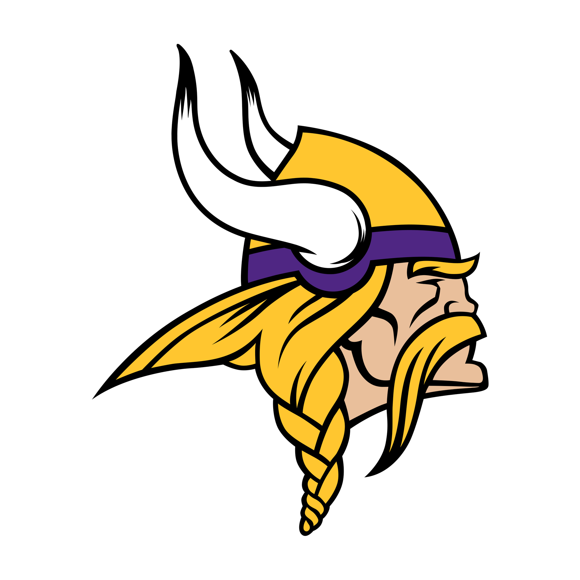 Minnesota Vikings Beanie Hat
