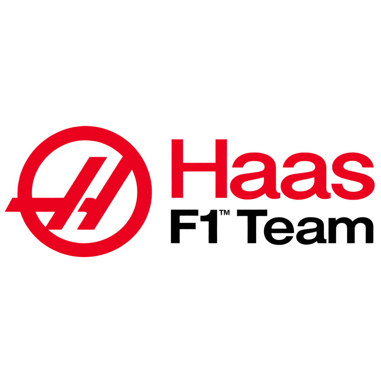 Haas F1 Team Beanie Hat
