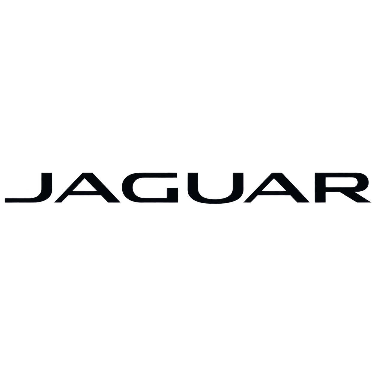 Jaguar Racing Beanie Hat