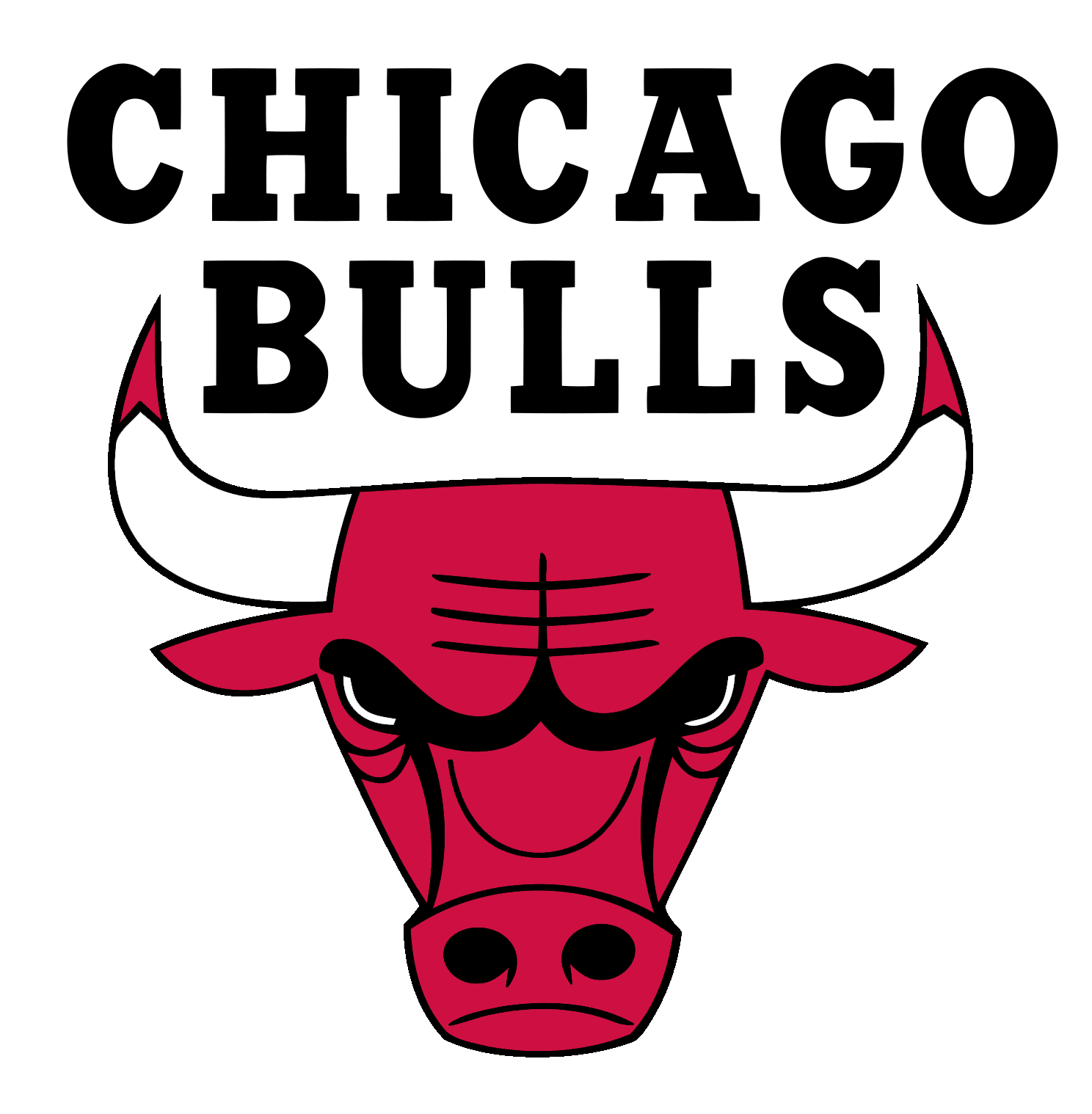 Chicago bulls black Beanie Hat