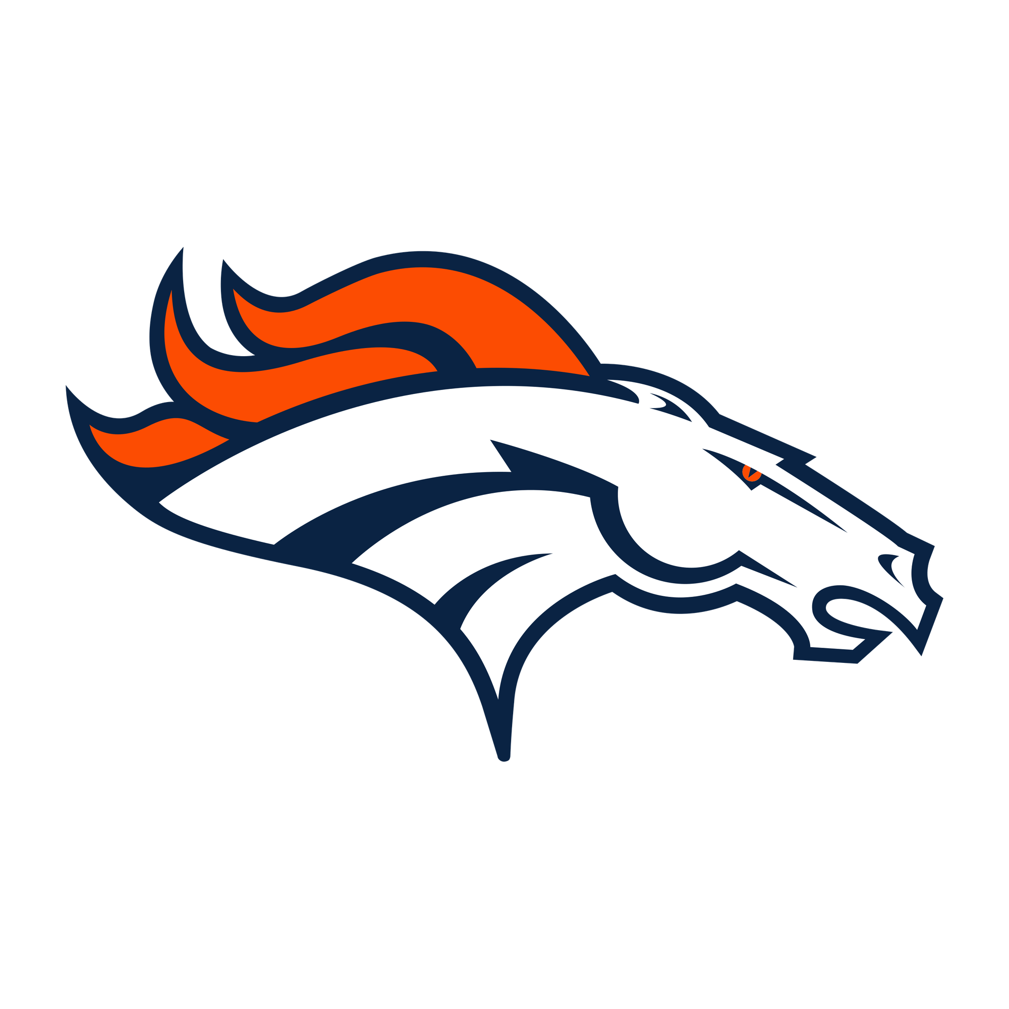 Denver Broncos Beanie Hat