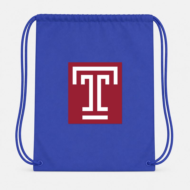 Temple Owls Drawstring Bag - Blue