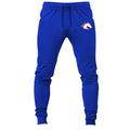 Texas Arlington Mavericks joggers sweatpants - Royal Blue