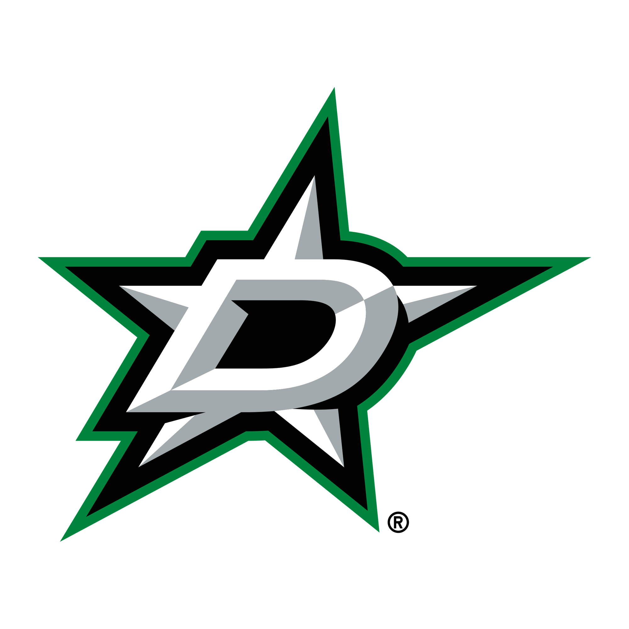 Dallas Stars Beanie Hat