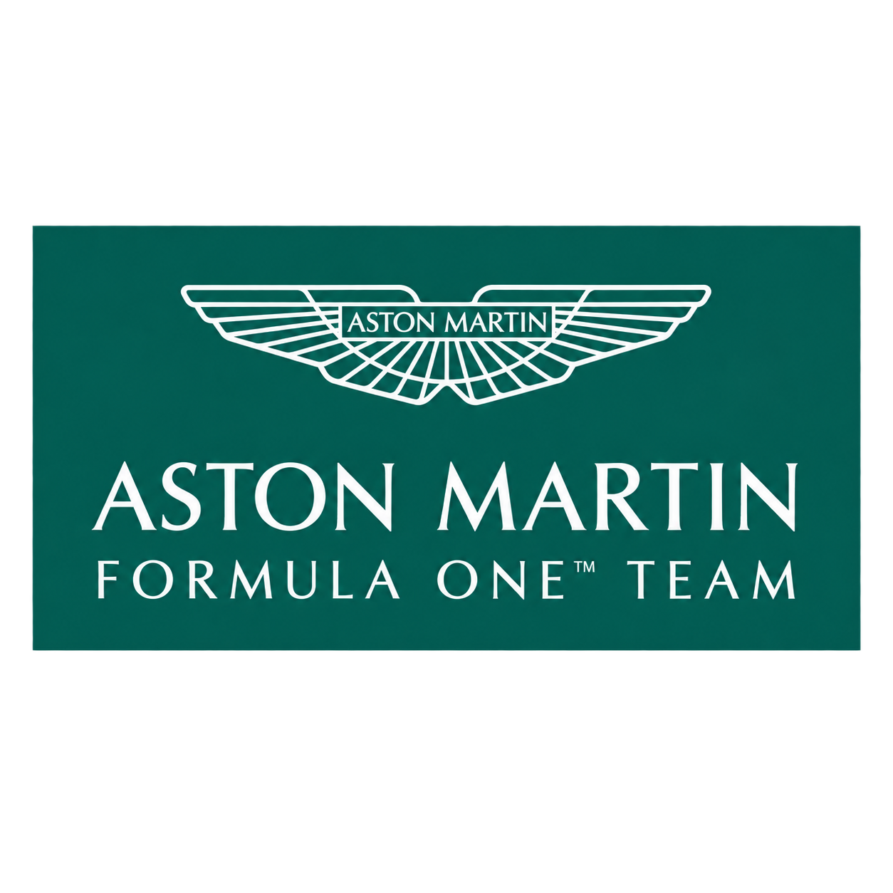 Aston Martin Formula One Team Beanie Hat