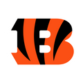 Cincinnati Bengals Beanie Hat