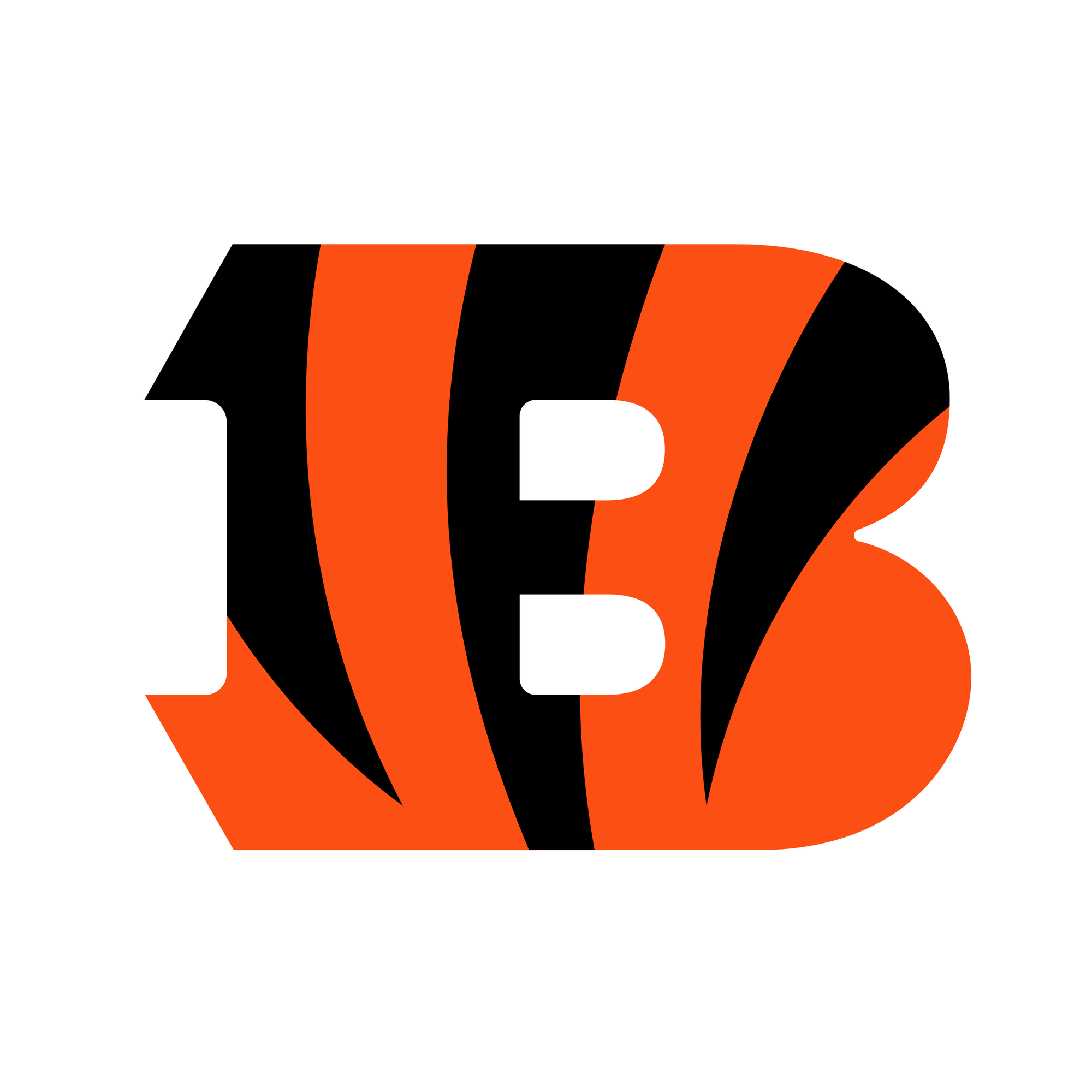 Cincinnati Bengals Beanie Hat
