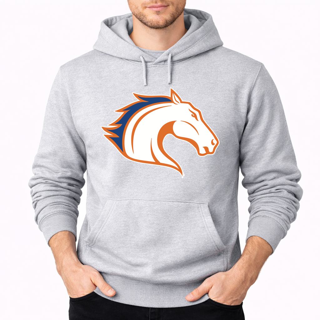 Men's Texas Arlington Mavericks Pullover Hoodie - Gray