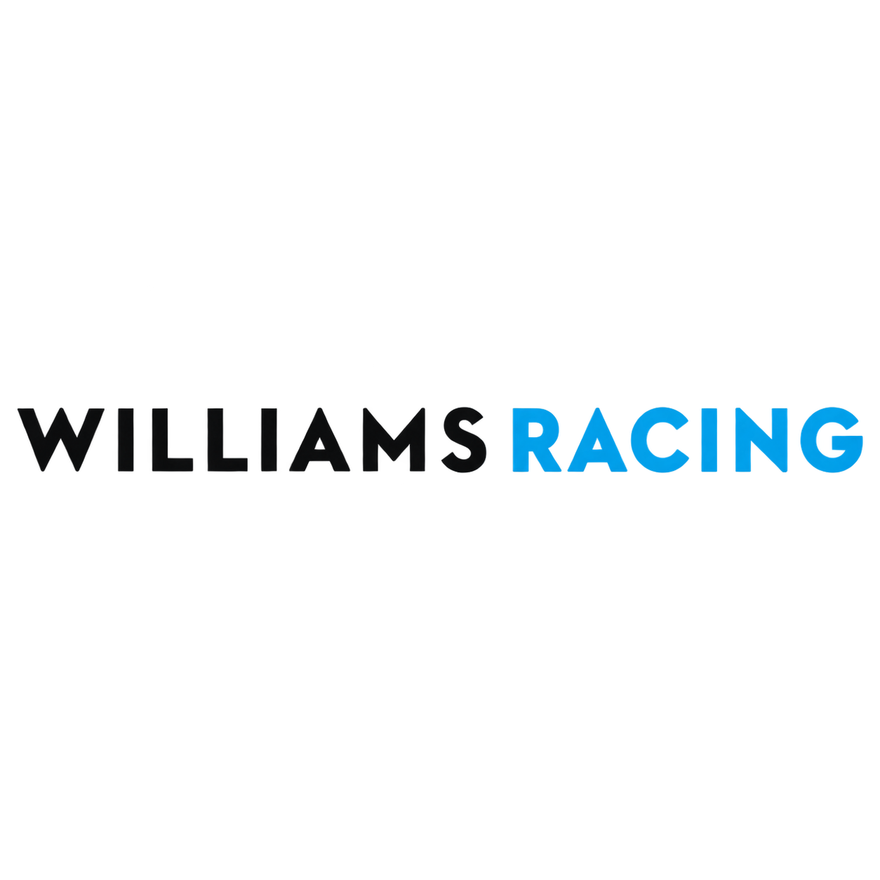 Williams Racing Beanie Hat