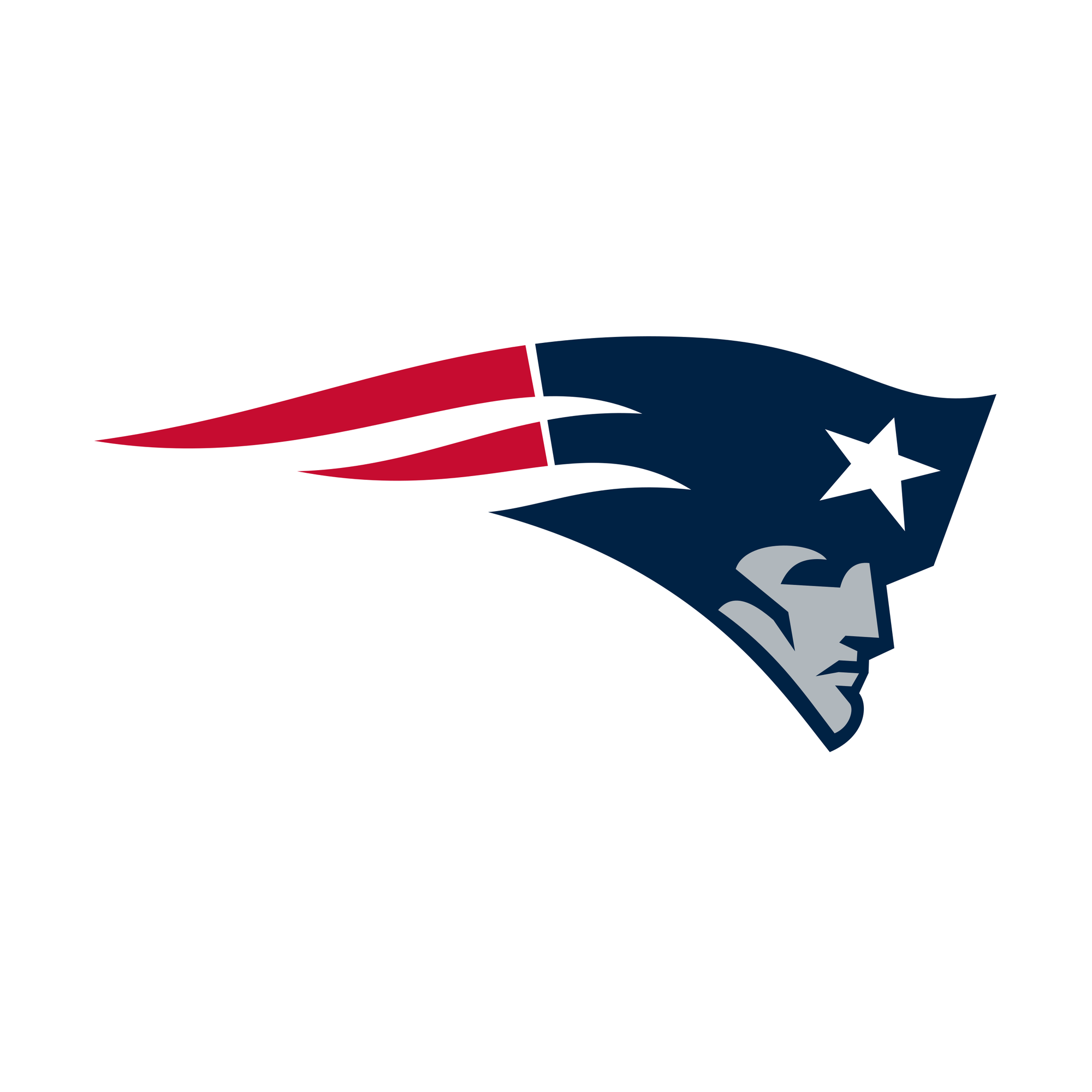 New England Patriots Beanie Hat