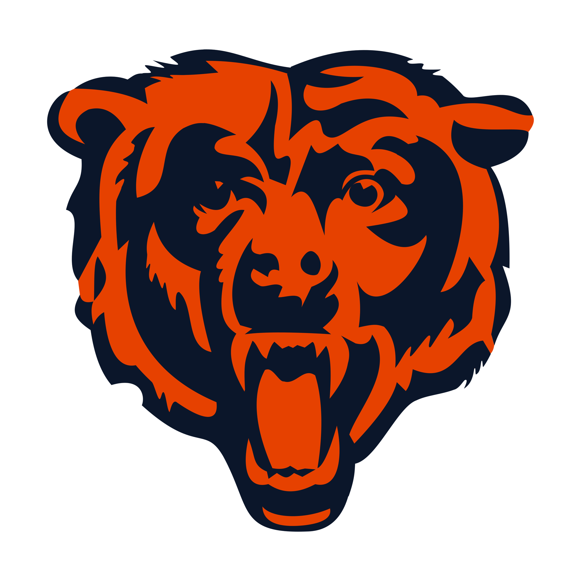 Chicago Bears Beanie Hat