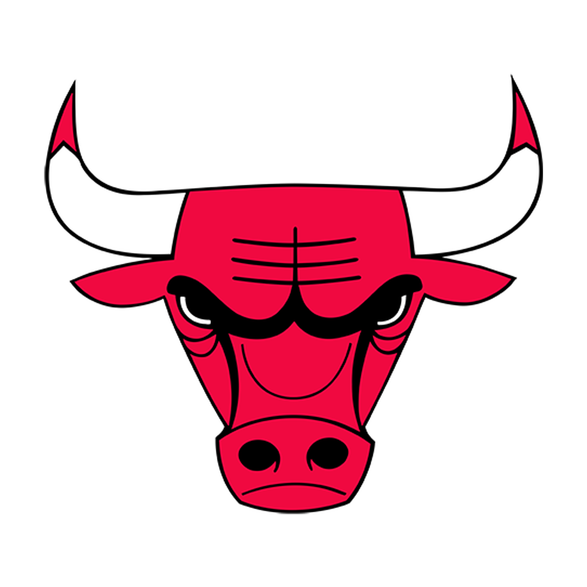 Chicago Bulls Beanie Hat