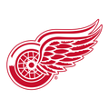 Detroit Red Wings Beanie Hat