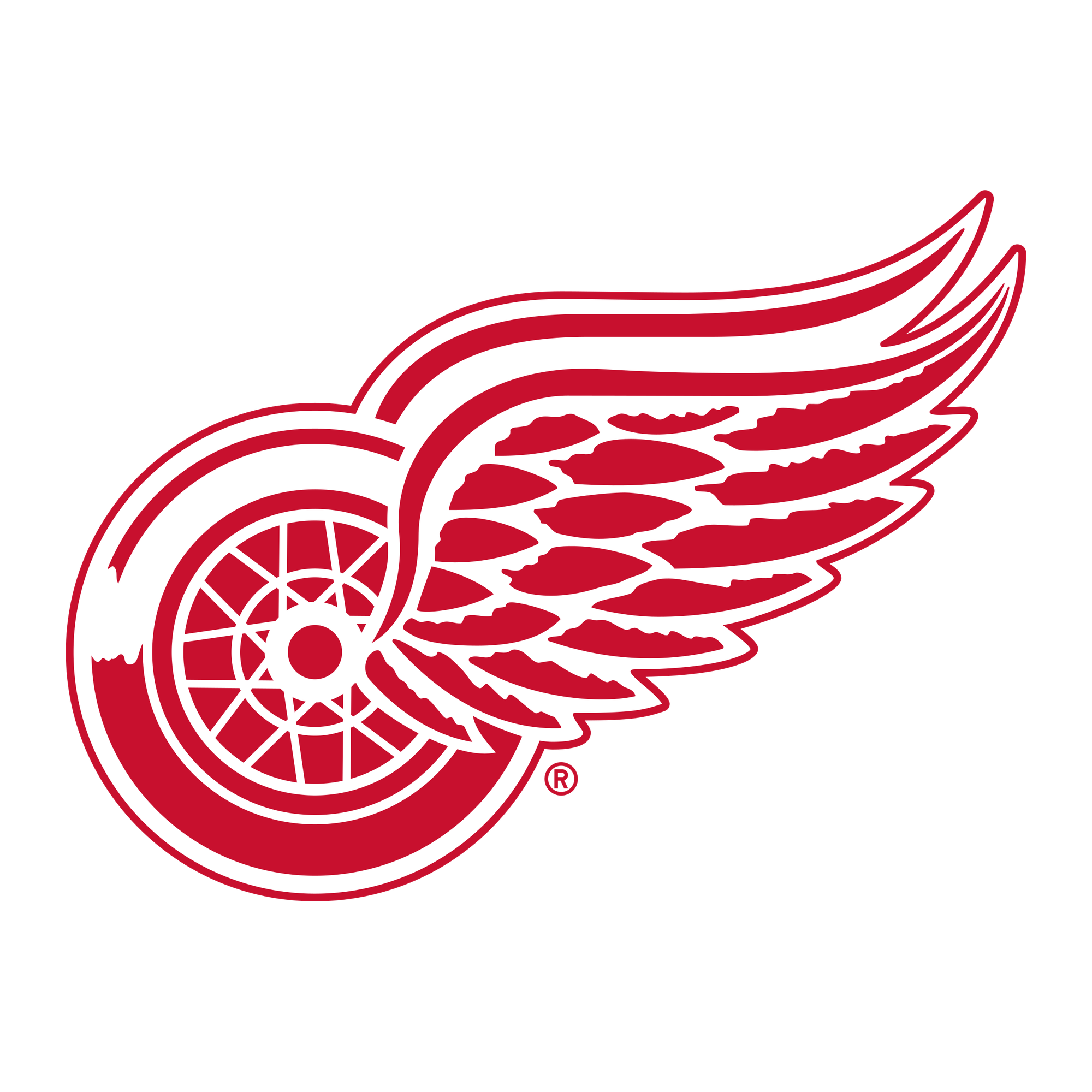 Detroit Red Wings Beanie Hat