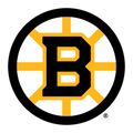 Boston Bruins Beanie Hat