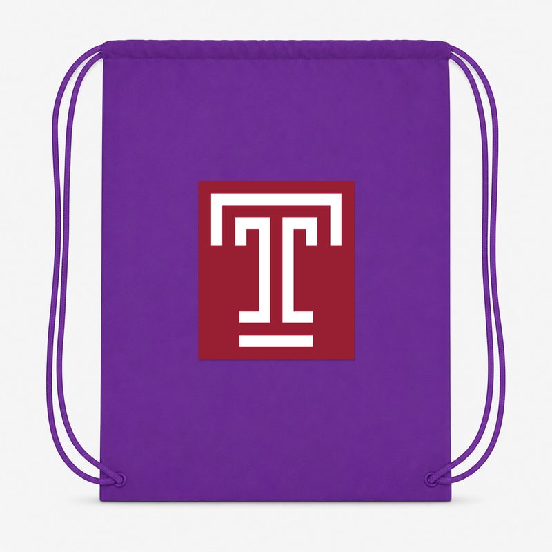 Temple Owls Drawstring Bag - Purple