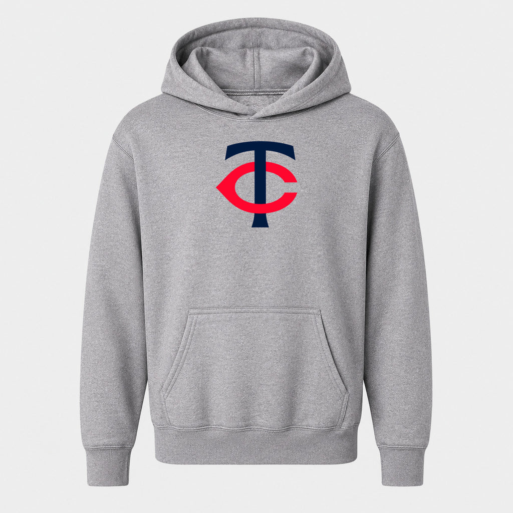 Youth Minnesota Twins Pullover Hoodie - Gray